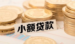 成都双流区哪里有小额贷款-成都双流区身份证贷款平台-成都双流区民间短借